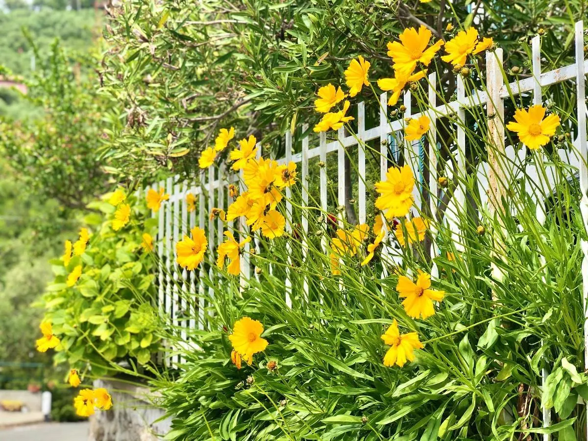 Colline D'Argento Villa Moneglia Holiday home
